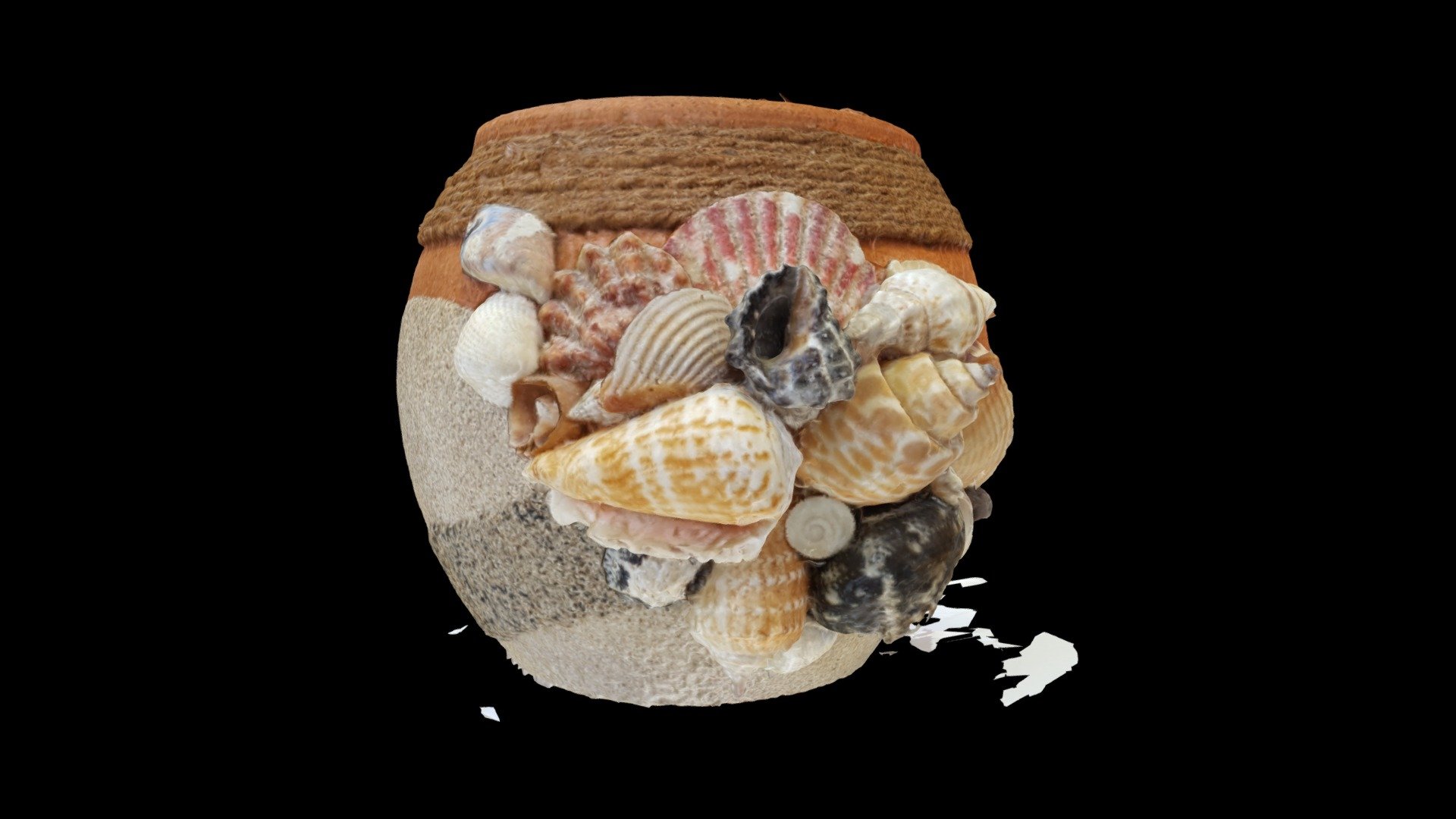 UNEDITED - Seashell Pot (3DF Zephyr Edu)