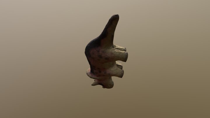 Dino Tritops 3D Model