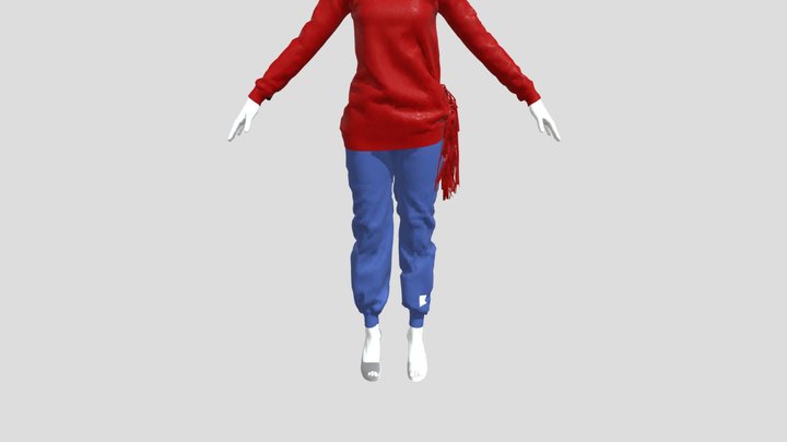 Zebra Outfit 3D Model