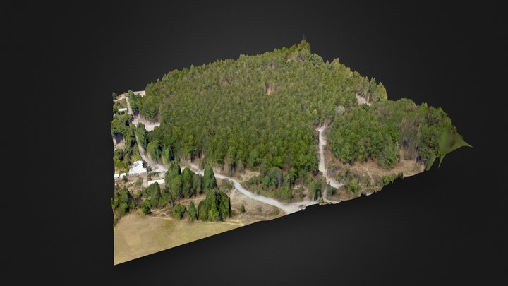 Manejo Forestal | Zitácuaro, Mich. 3D Model