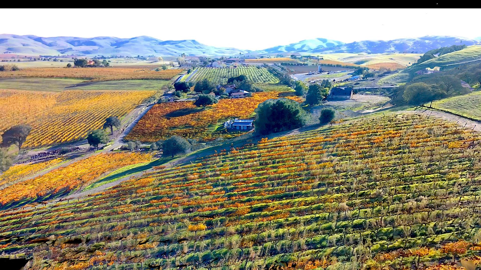 Bent Creek Winery