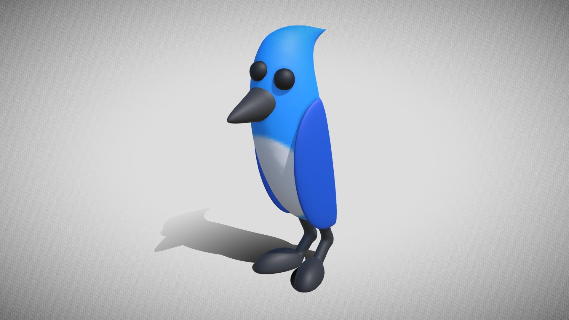 Apollo the Blue Jay