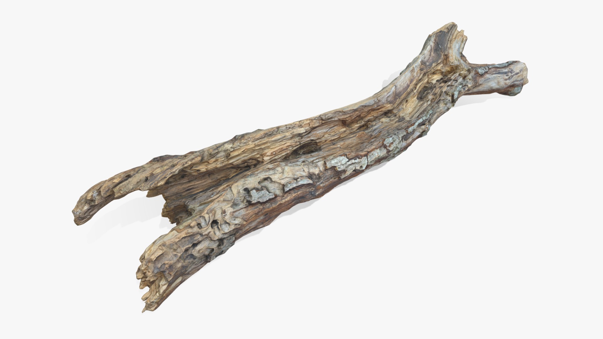 3D model Withered Tree Hide - This is a 3D model of the Withered Tree Hide. The 3D model is about a wooden object with a handle.