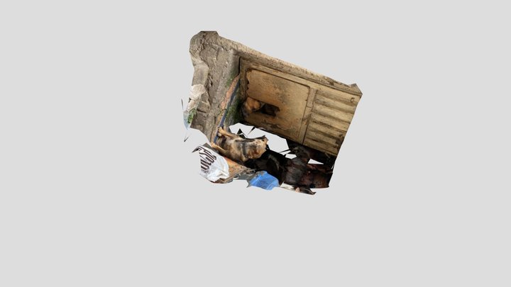 My beautiful 3D reconstruction 3D Model