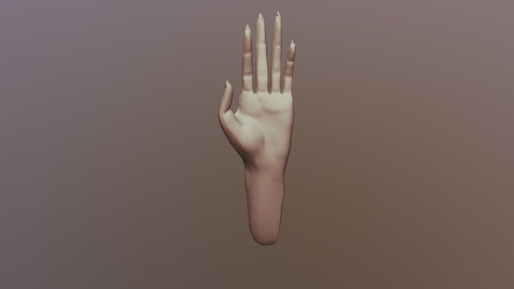 Hand 3D Model