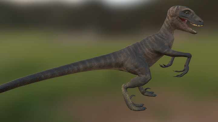 Velociraptor 3D Model