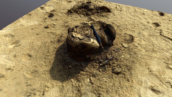 Stromatolite Dead Sea Coast (Palestine) 3D Model