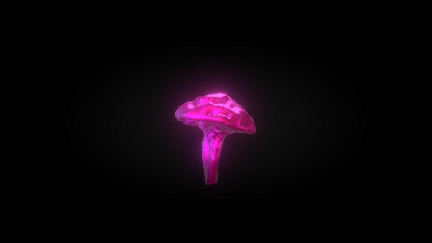 Magical Mushroom (Magenta)