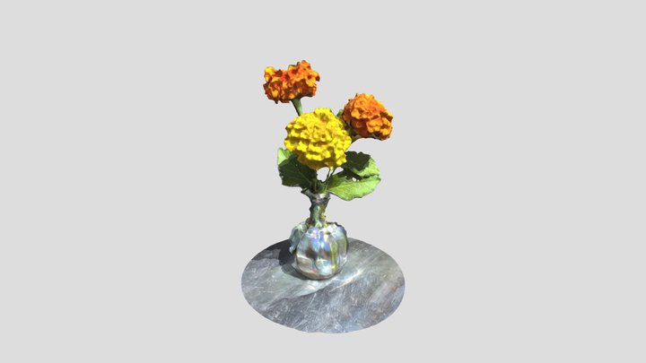 Marigolds in a vase 072022 3D Model