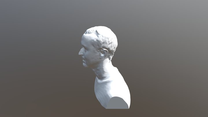 BUSTO GERMAN 3D Model