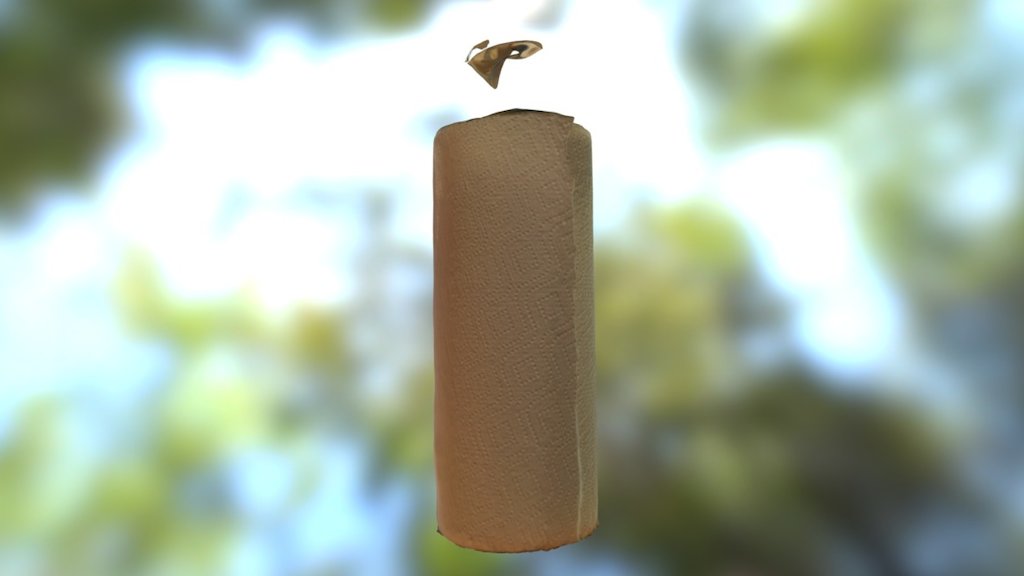 Paper Towels