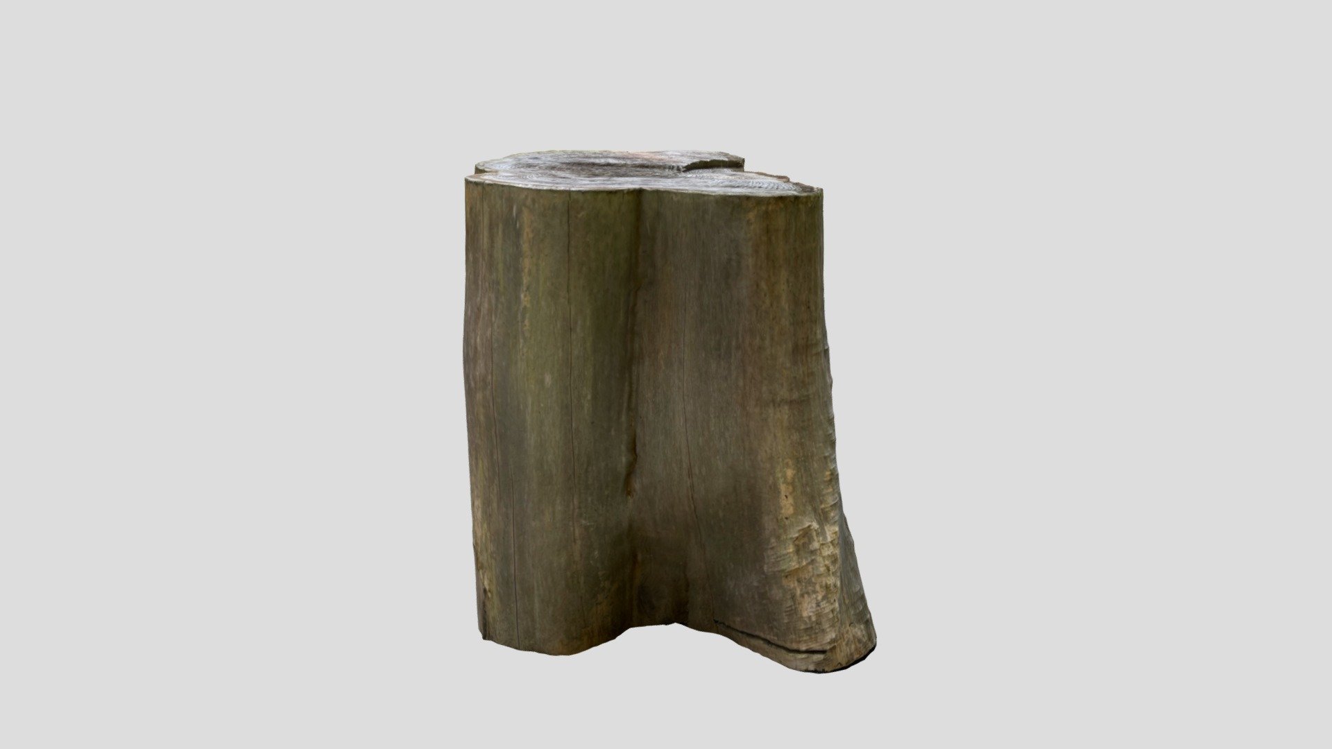 Cedar Stump