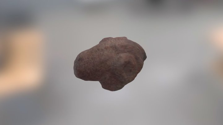Tête de Bélier 3D Model