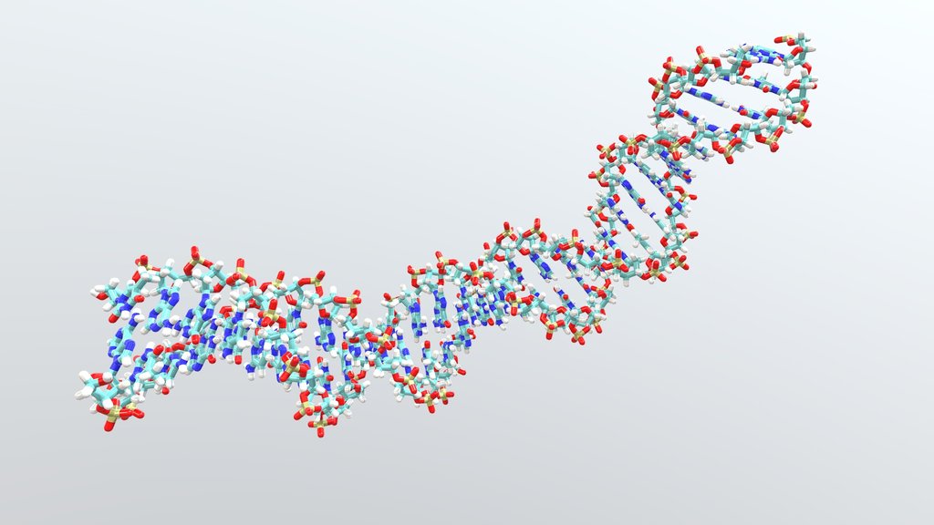 DNA
