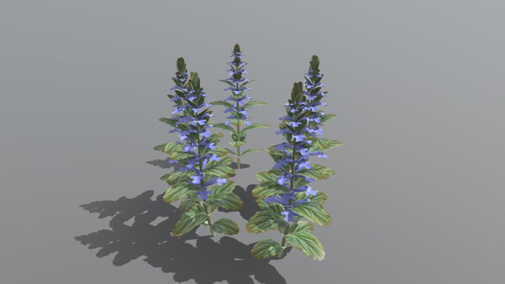 Bugle 3D models - Sketchfab