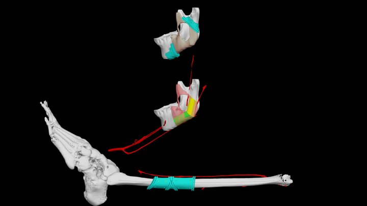 0205 3D Model