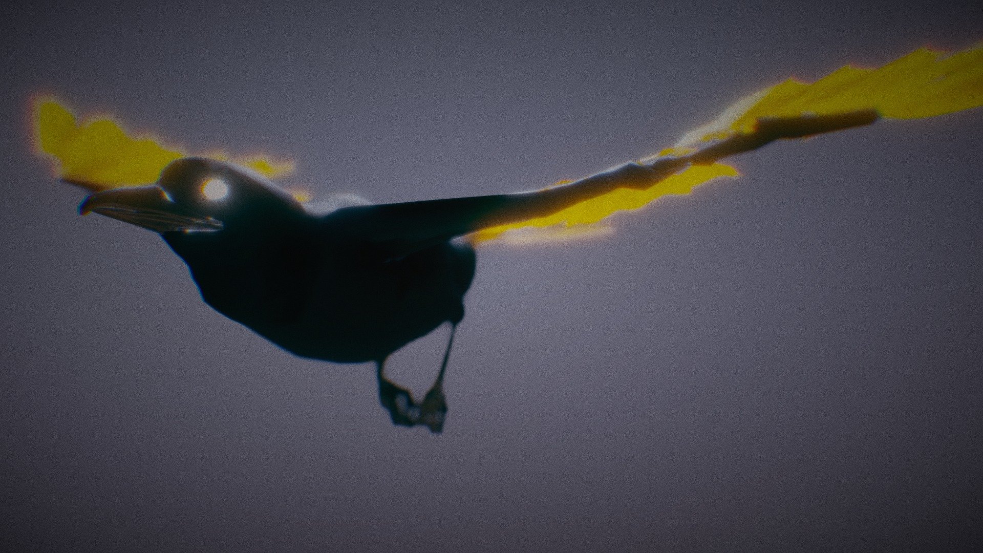 Graphic Raven - Flight Test