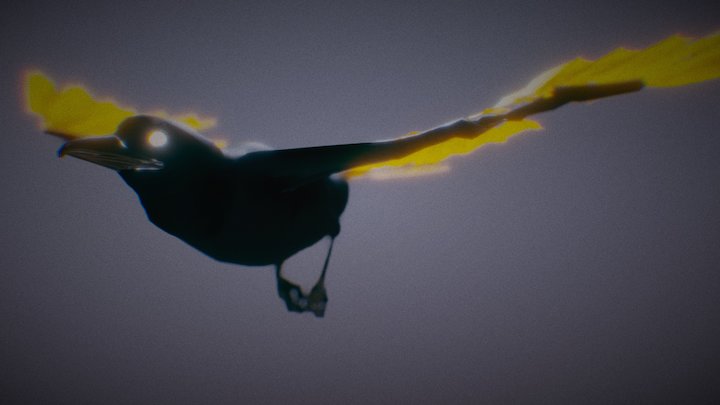 Graphic Raven - Flight Test