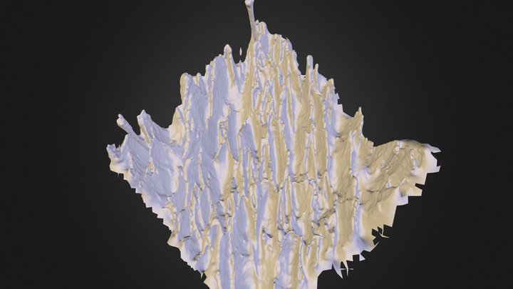 Site B: 20 December 2013 penitentes 3D Model
