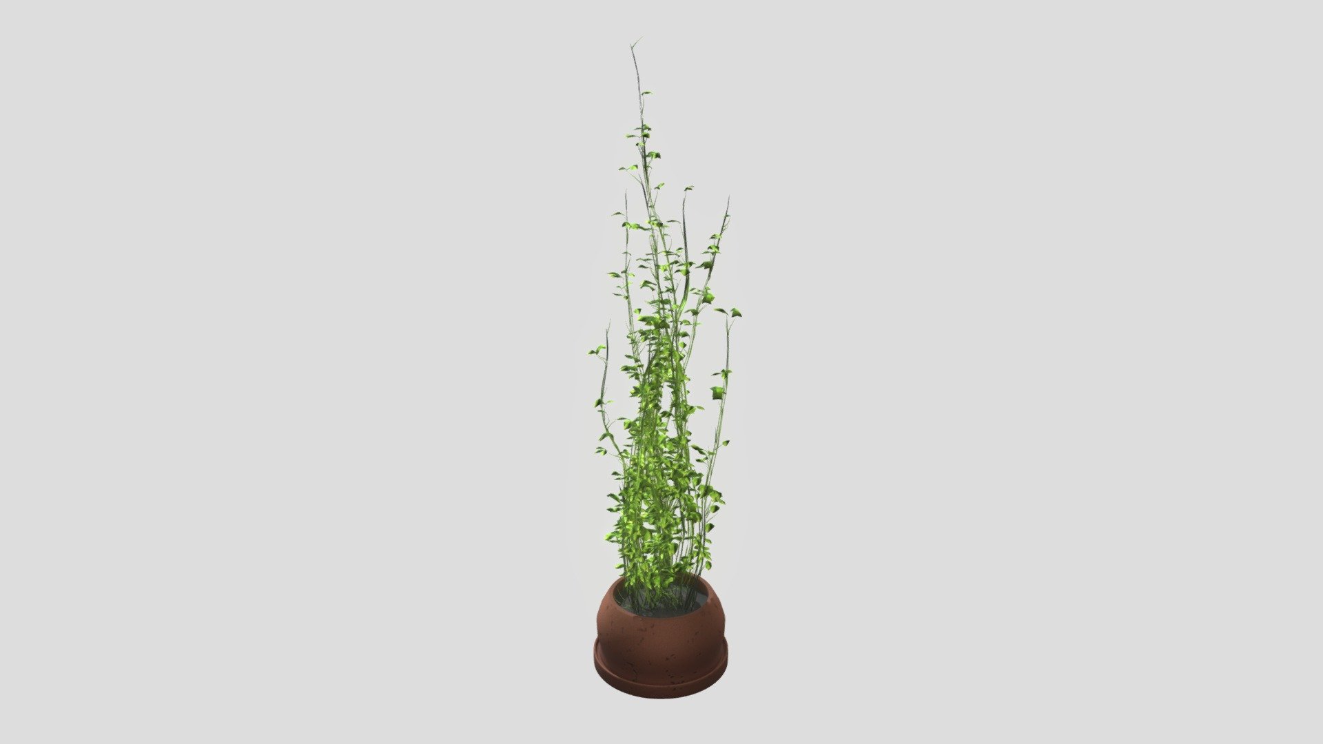 Nature Pack - House Garden, 1 Plant Demo