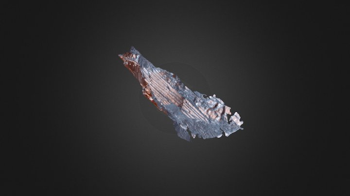 proyecto cantera _simplified_3d_mesh 3D Model