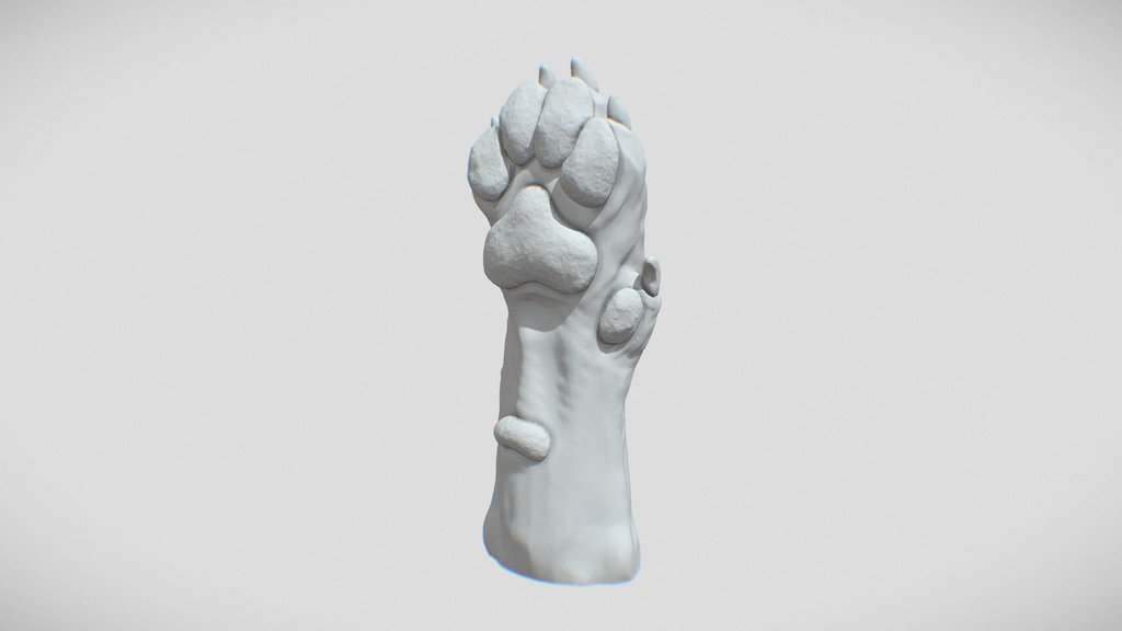 Dog Paw