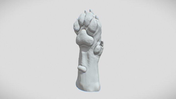 Dog Paw 3D Model