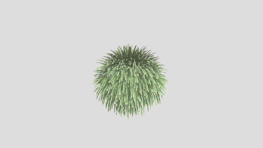 Grass Bush