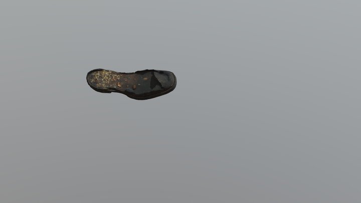 Chaussure en cuir (épave du Fetlar, 1919) 3D Model