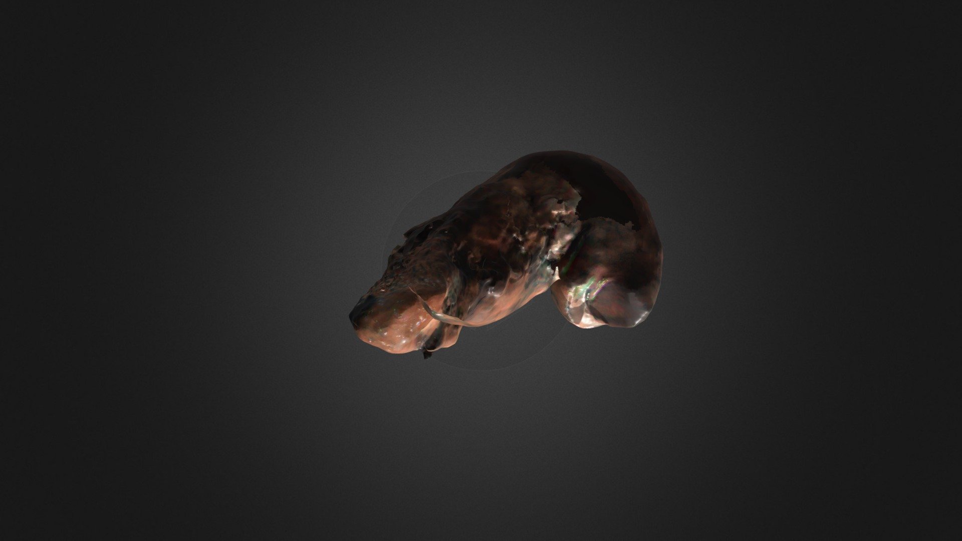 Subject04