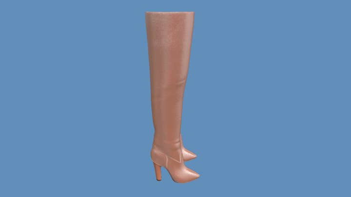 Women's leather boots 3D Model