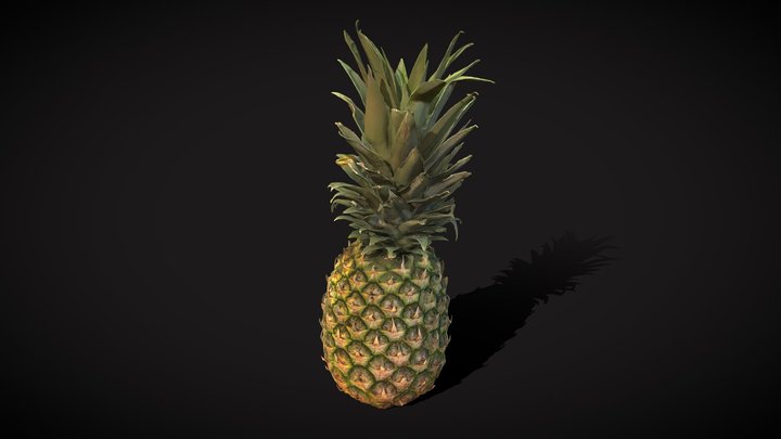 Pineapple Model DSLR 3D Model