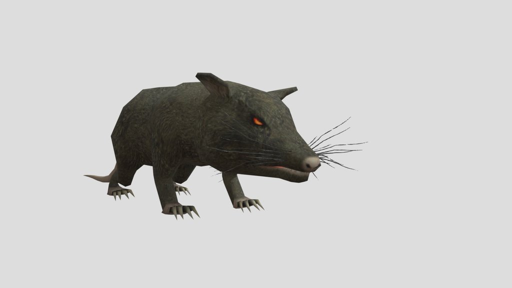 Rat (SYNM)