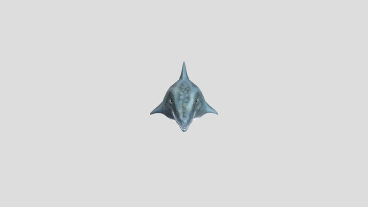 Delifin2 3D Model