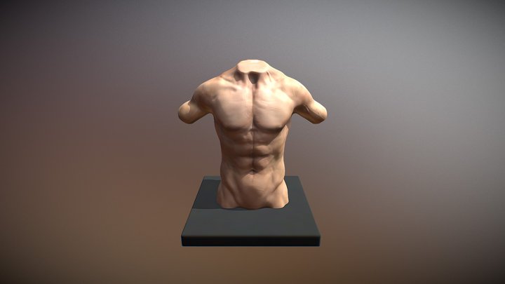 Torso male day 22 #sculptjanuary18 3D Model