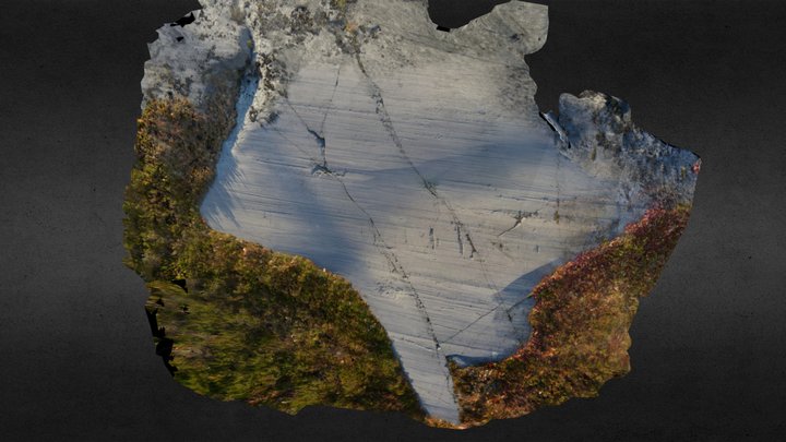 Alta Rock Art: Apana Gård 19 3D Model