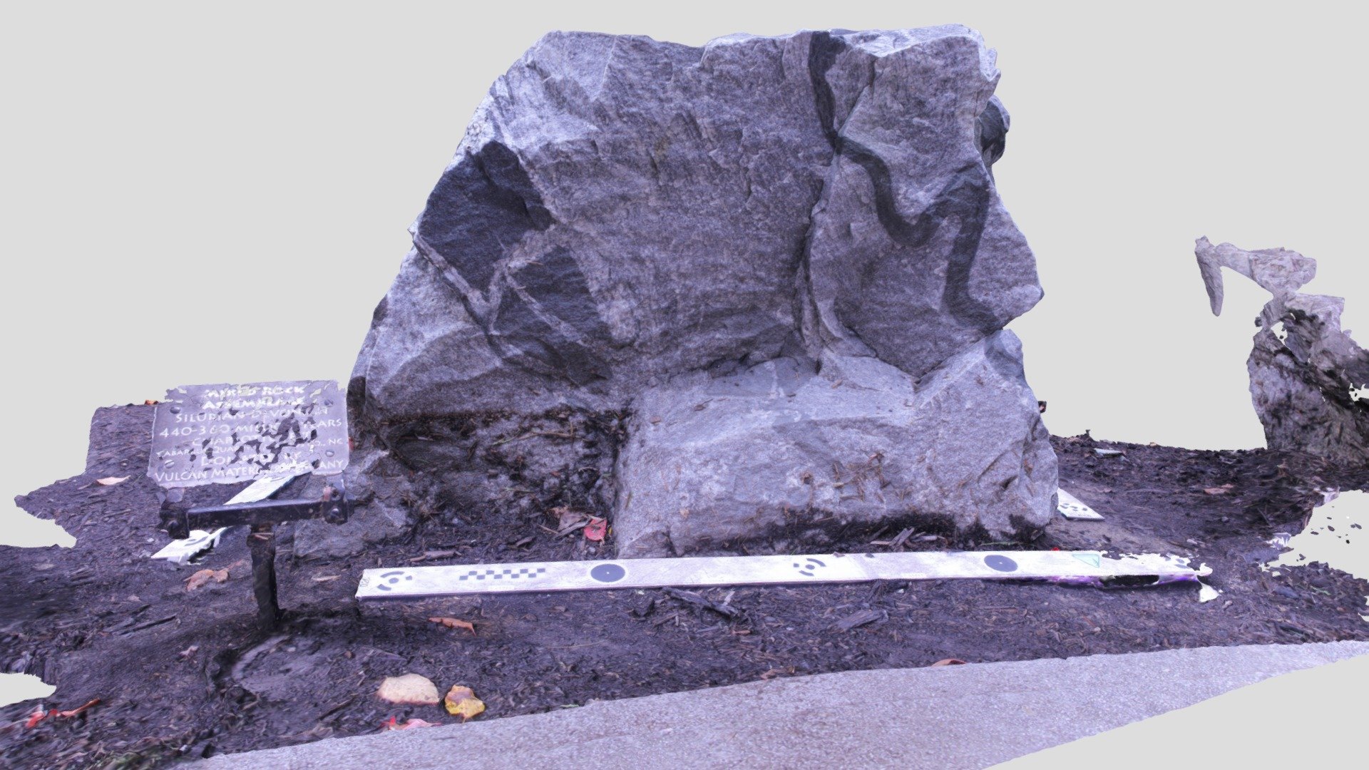 Rock Garden Sample Mixed Assemblage