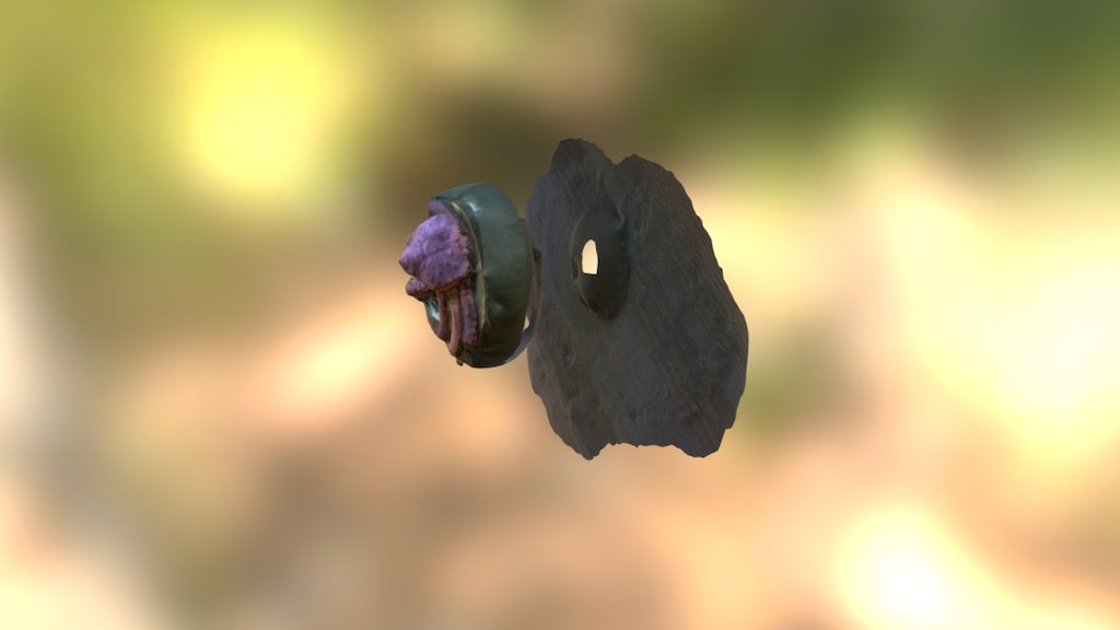 Crab