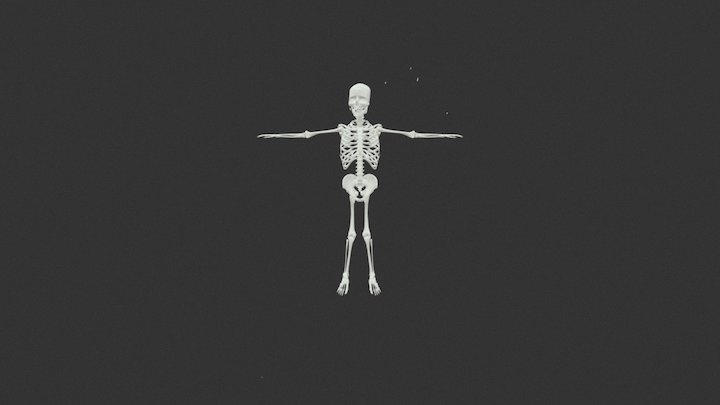 Skeleton 3dm 3ds 3D Model