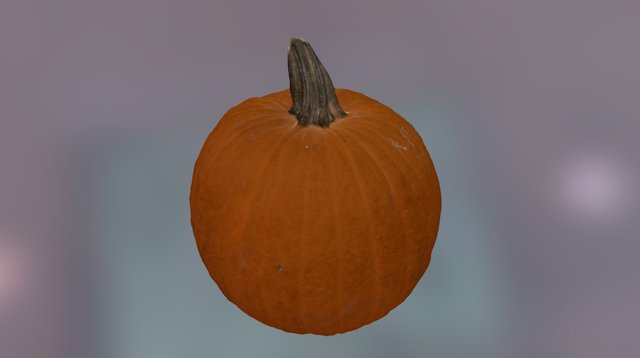 Real Pumpkin Scanned in Full Colour 3D Model