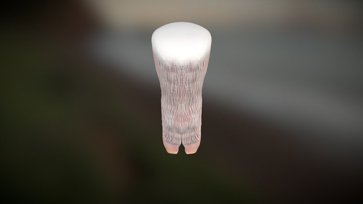 Trimming A Pig Hoof Step 2 3D Model