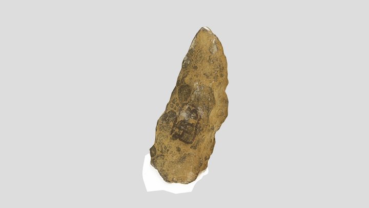 Sample 49B 3D Model