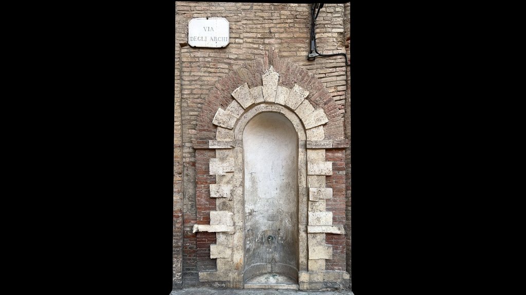 Siena - Water Fountain 1 (Scaniverse)