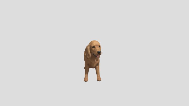 Dog English Cocker Spaniel 3D Model