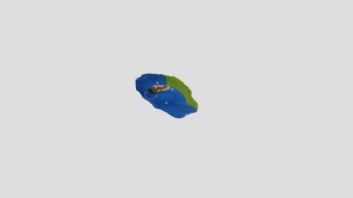 Model101 3D Model