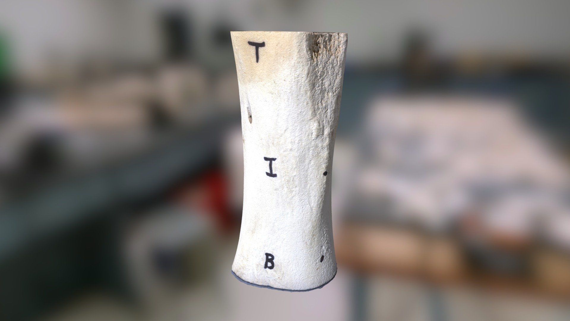 TIB