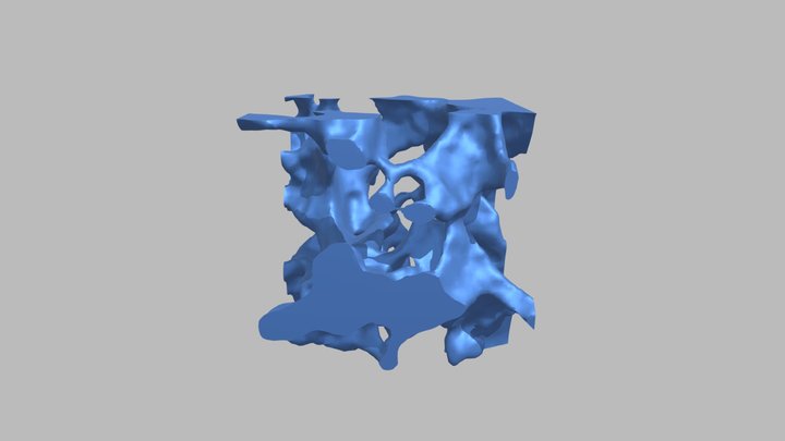 Poro03 3D Model