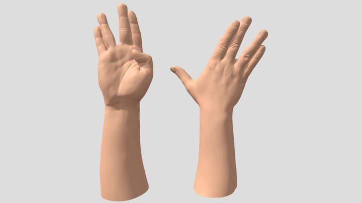 Vulcan salute sign hand 3D Model