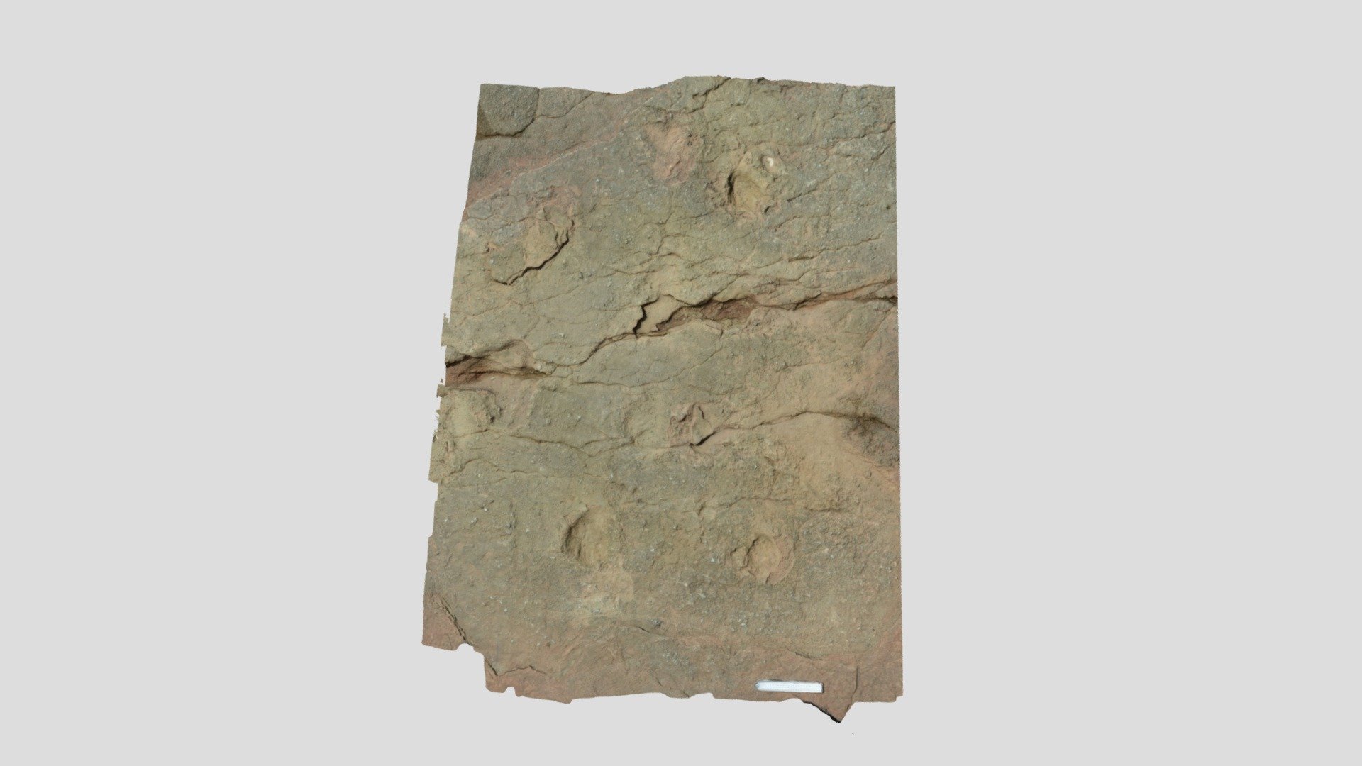 Bendrick dinosaur footprints - 3D model by godevonian1 [613e714 ...