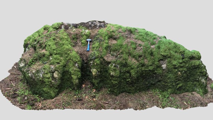 Glacial erratic boulder (Kempter Wald) 3D Model
